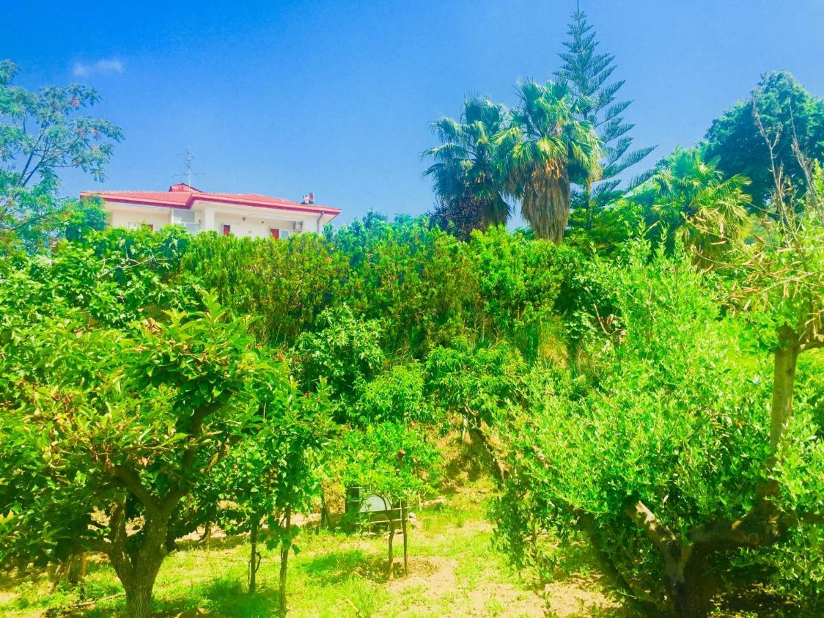 Montebianco B&B Faiano Εξωτερικό φωτογραφία