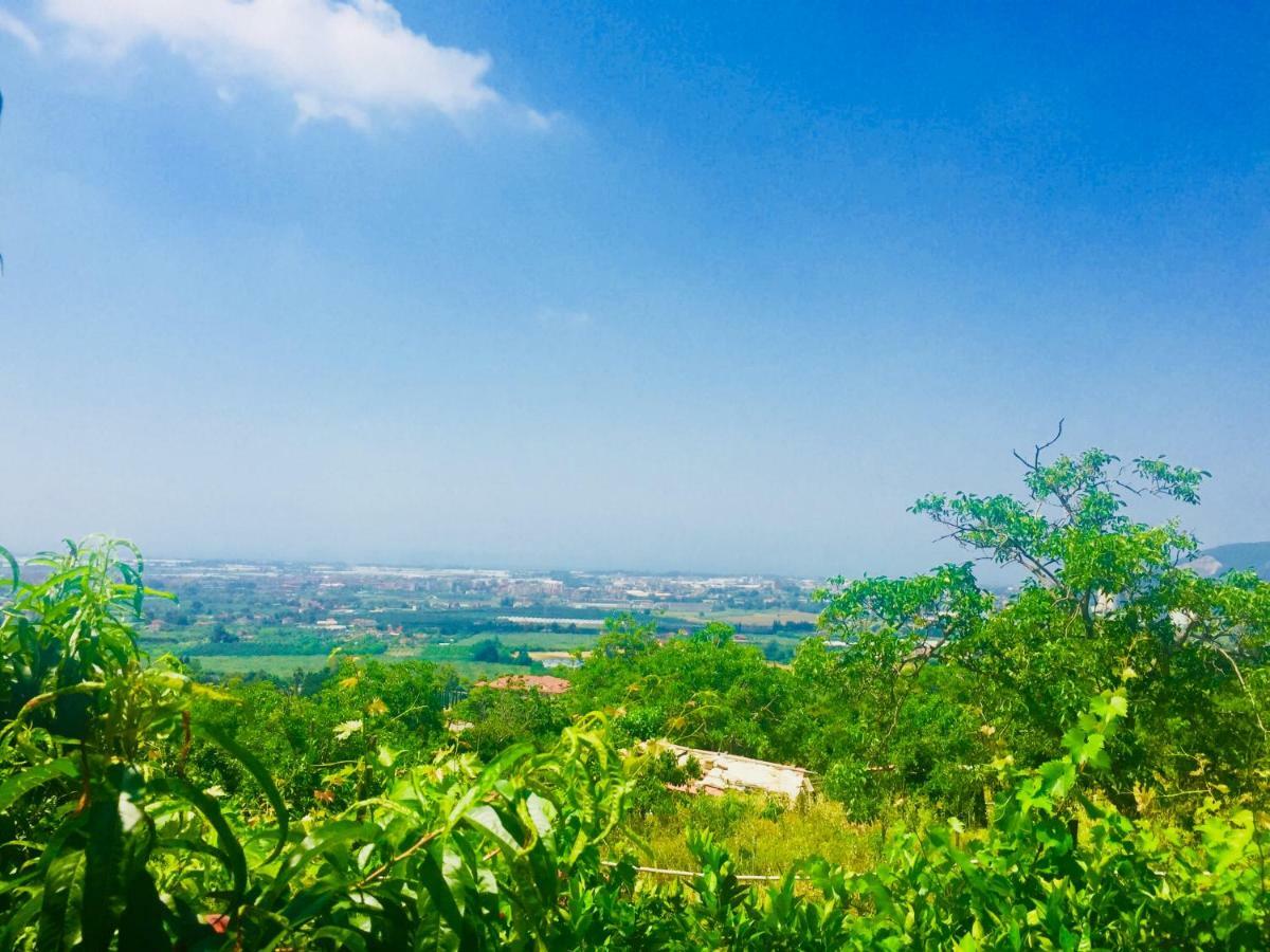 Montebianco B&B Faiano Εξωτερικό φωτογραφία