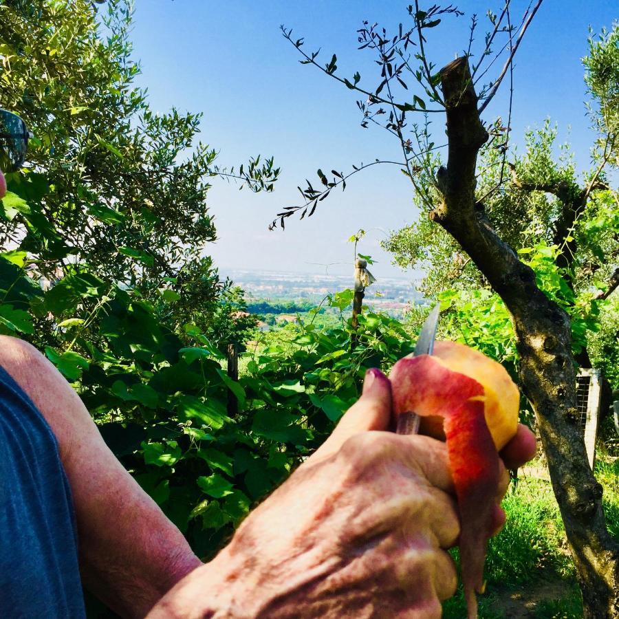 Montebianco B&B Faiano Εξωτερικό φωτογραφία